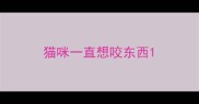 猫咪一直想咬东西
