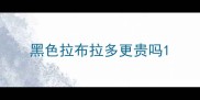 黑色拉布拉多更贵吗