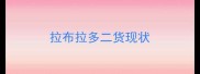 拉布拉多二货现状