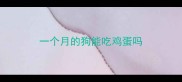 一个月的狗能吃鸡蛋吗