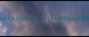 猫咪肚子发烫没精神怎么办5大原因及应对措施全