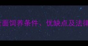 藏獒适合当宠物吗全面饲养条件优缺点及法律风险助你理性养宠