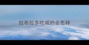 拉布拉多吃咸的会怎样