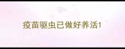疫苗驱虫已做好养活
