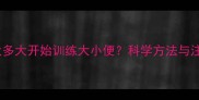 泰迪犬幼犬多大开始训练大小便科学方法与注意事项全