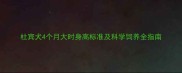杜宾犬4个月大时身高标准及科学饲养全指南