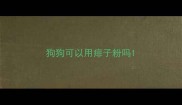 狗狗可以用痱子粉吗