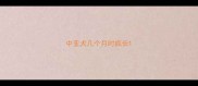 中亚犬几个月时疯长