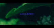 拉布拉多喂养事项