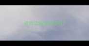 边牧边牧边牧边牧
