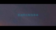 泰迪阿拉斯加串串