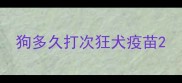 狗多久打次狂犬疫苗