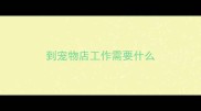 到宠物店工作需要什么