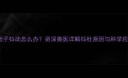 猫咪侧肚子抖动怎么办资深兽医详解抖肚原因与科学应对指南