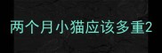 两个月小猫应该多重