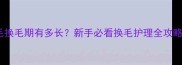 金毛换毛期有多长新手必看换毛护理全攻略