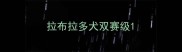 拉布拉多犬双赛级