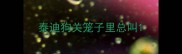 泰迪狗关笼子里总叫