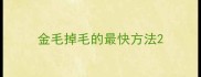 金毛掉毛的最快方法