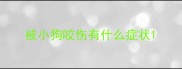 被小狗咬伤有什么症状