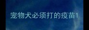 宠物犬必须打的疫苗