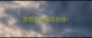 宠物金毛疫苗价格
