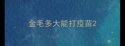 金毛多大能打疫苗