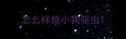 怎么样给小狗驱虫
