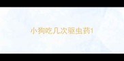 小狗吃几次驱虫药