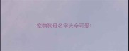 宠物狗母名字大全可爱