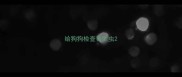 给狗狗检查寄生虫