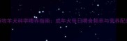 边境牧羊犬科学喂养指南成年犬每日喂食频率与营养配比全