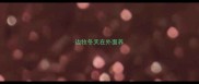 边牧冬天在外面养