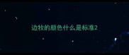 边牧的颜色什么是标准
