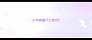 小狗真菌什么症状