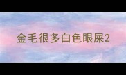 金毛很多白色眼屎