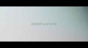 边牧取什么名字好听