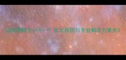 边牧两眼大小不一五大原因与专业解决方案全