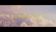 哈士奇驱虫一年几次