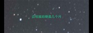 边牧尴尬期是几个月