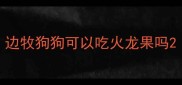 边牧狗狗可以吃火龙果吗