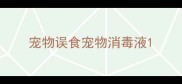 宠物误食宠物消毒液