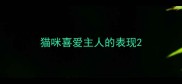 猫咪喜爱主人的表现