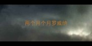 两个月个月罗威纳