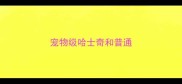 宠物级哈士奇和普通