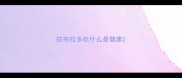 拉布拉多吃什么最健康