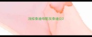 浅棕泰迪母配灰泰迪公