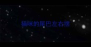 猫咪的尾巴左右摆