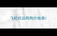 飞机托运狗狗价格表