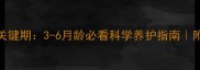 幼犬骨骼定型关键期3-6月龄必看科学养护指南附防变形矫正技巧